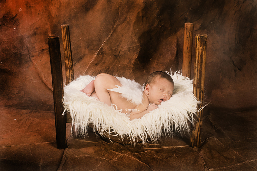 fotos de bebes Doña Mencia